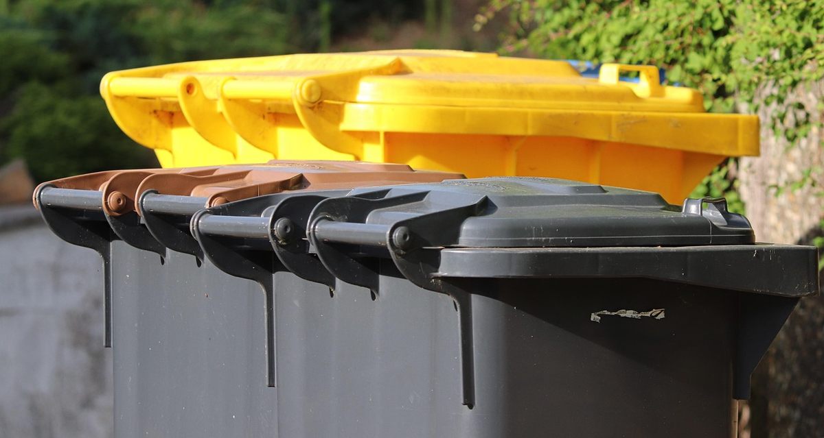 Trois poubelles extérieures, couvercles jaunes, bruns et gris, dans un décor vert
