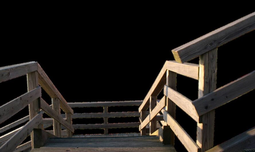Chien qui a peur des escaliers : sécuriser la montée et la descente